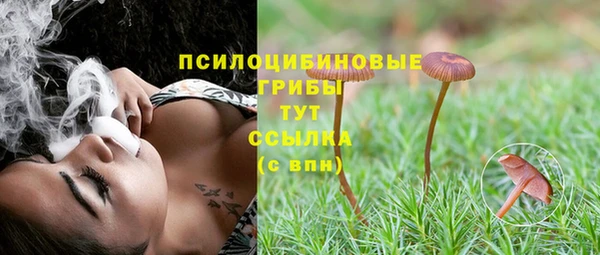 соль ск Алексеевка