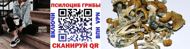 наркошоп  Россошь  Галлюциногенные грибы мухоморы 